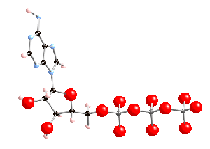 ATP structure